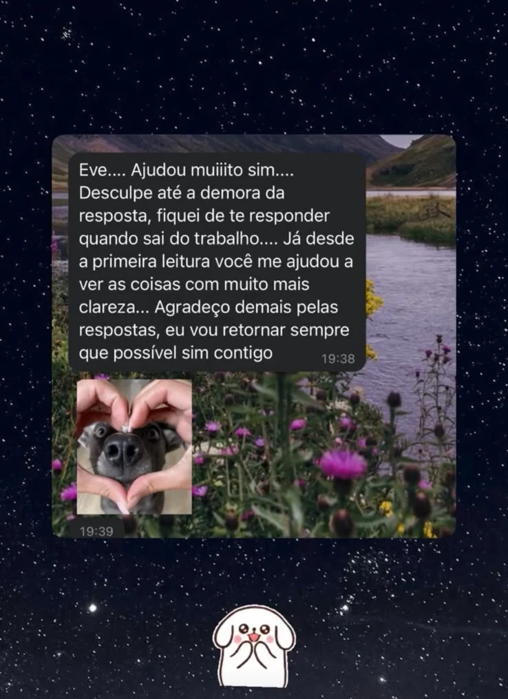 Depoimento 18 sobre uma leitura com a Eve